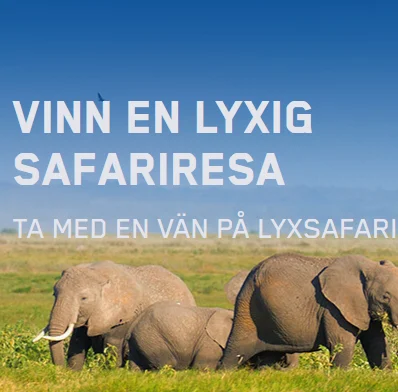 Vinn en resa för två till Sydafrika och åk på lyxsafaria - allt via Maria Casino!